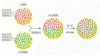 查看更多精彩图片