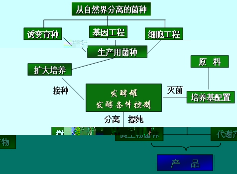 查看更多精彩图片