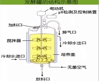 查看更多精彩图片