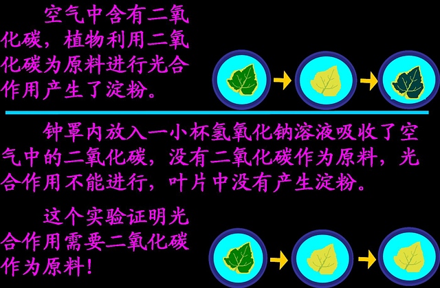 查看更多精彩图片