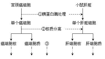 查看更多精彩图片